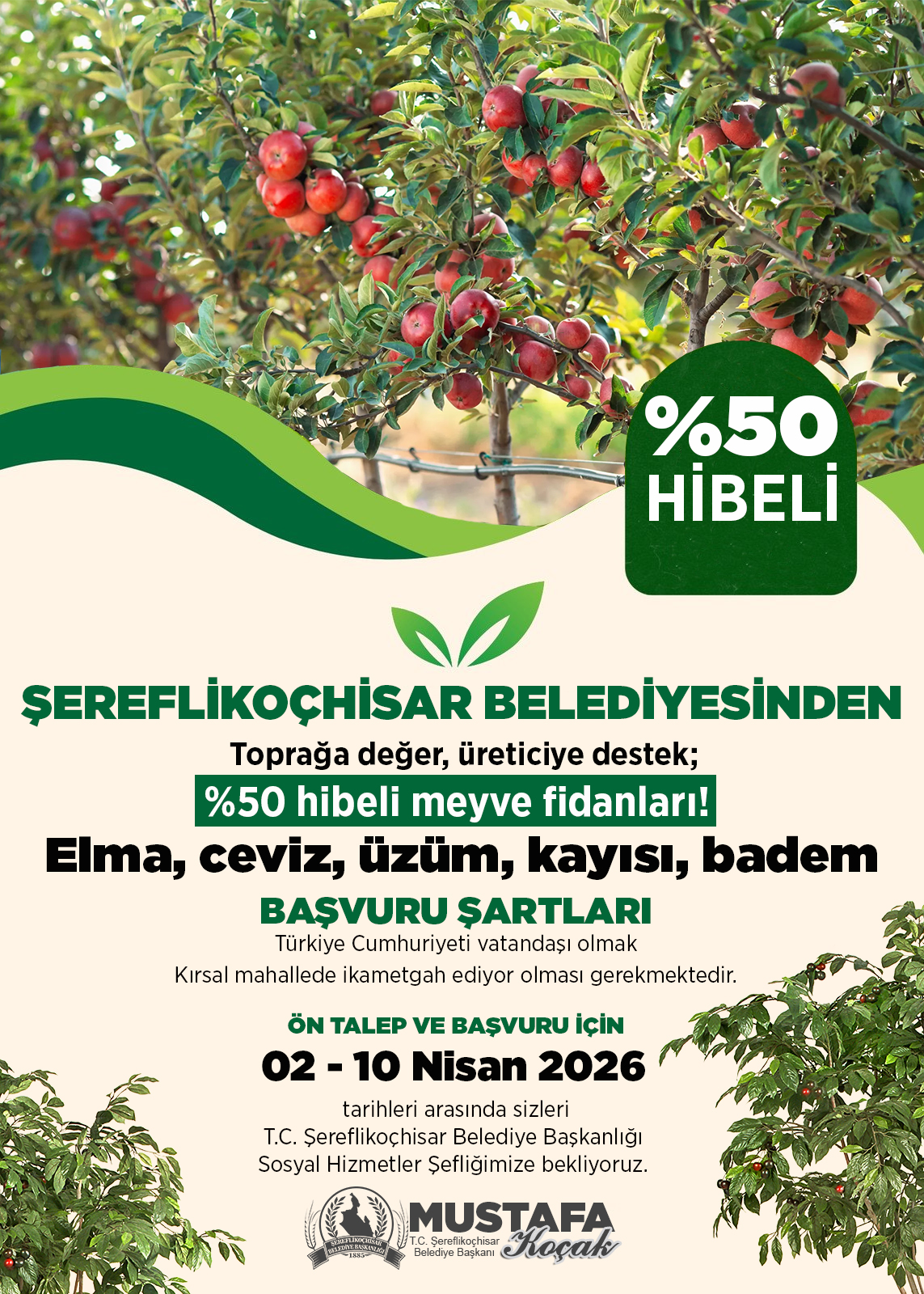 Hibeli Meyve fidanları başvuruları başladı