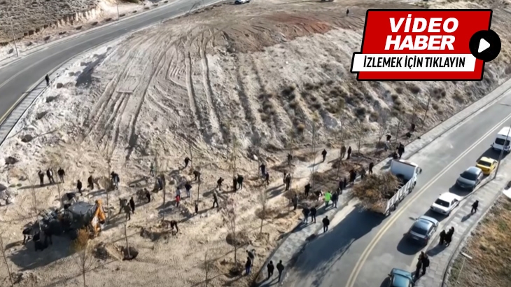 Ağaçlandırma çalışmamızı gerçekleştirdik