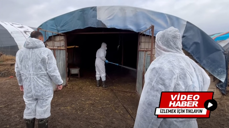 Belediyemiz tarafından ahırlar ücretsiz ilaçlanıyor