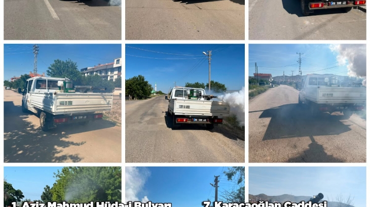 Pazar günü ilaçlanan mhallelerimiz